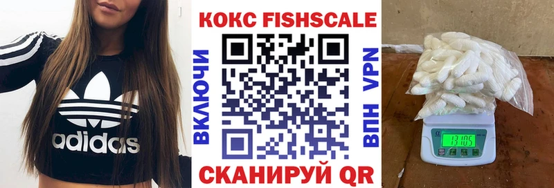 Купить где  Петровск  Cocaine 99% 