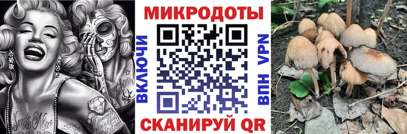 Купить закладки  Петровск  Галлюциногенные грибы Cubensis 